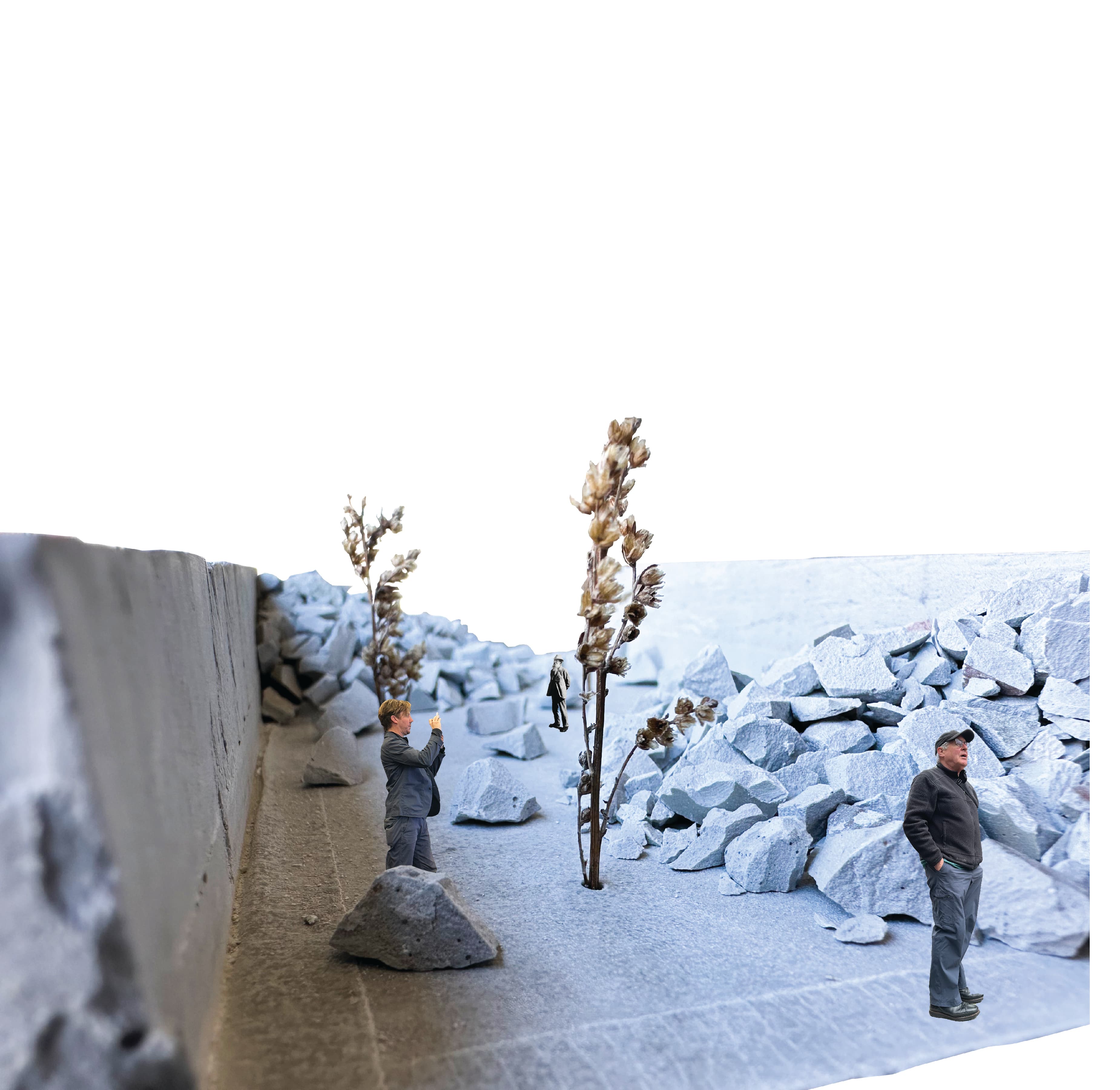 CHARLESTOWN WATERSHED - Media 10